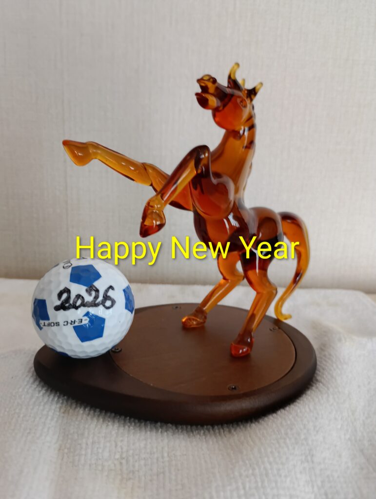 明けましておめでとうございます。今年はWcupの年で楽しみです。我々シニアサッカーも事故、怪我なく楽しみましょう！